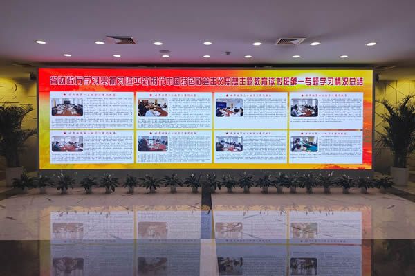 國(guó)內(nèi)有哪些COB顯示屏廠家做得比較好的？